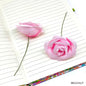 Gift To Love | Rose Flower | Color : Light Pink | Pcs : 30 Pcs | Code : MG234LP