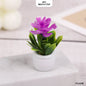Gift To Love | Tree Miniature | Pcs : 4 Pcs | Code : MG27417DP