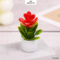 Gift To Love | Tree Miniature | Pcs : 4 Pcs | Code : MG27417R