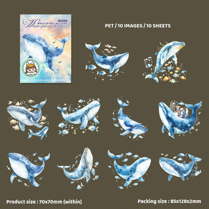 Gift To Love | Whale Falling Star Series Deco Sticker | Pcs : 10 Pc | Code : MHDJLXC003