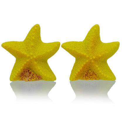 Gift To Love | Miniature Model Star Fish | Code : MMA16