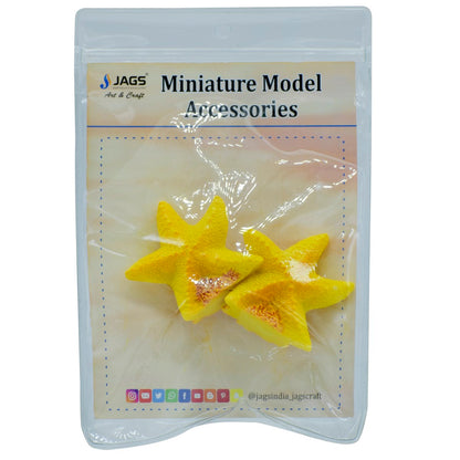 Gift To Love | Miniature Model Star Fish | Code : MMA16