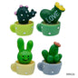 Gift To Love | Miniature Model Cactus Set | Pcs : 4 Pcs | Code : MMA36