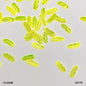 Gift To Love | Leaf Sequins | Size : Ss | Pcs : 10 Gm | Code : QS77B