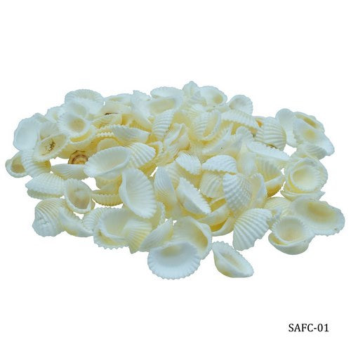 Gift To Love | Shells Foreign Chippe Small 100gm | Code : SAFC-01