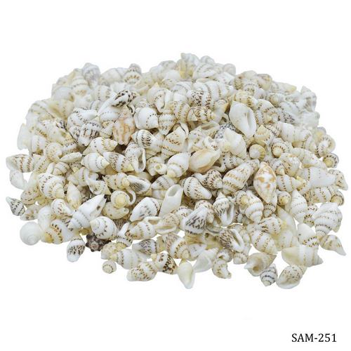 Gift To Love | Shells Sangv Mani 100gm | Code : SAM-251