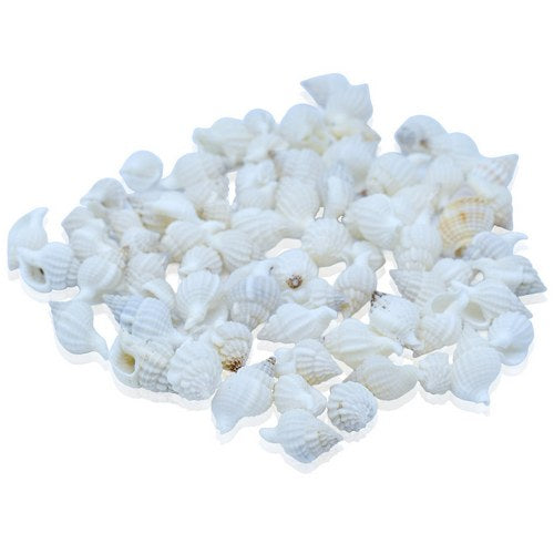 Gift To Love | Shells Chinna Pamban Mallipoo White 50gm | Code : SAM-255