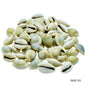 Gift To Love | Shells Ordinary Cowdy 100gm | Code : SAOC-03