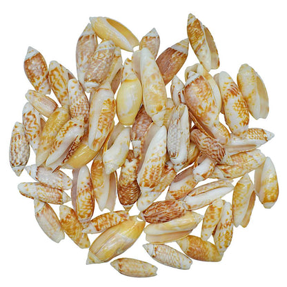 Gift To Love | Shells Red Kovanji Small | Size : 100 Gm | Code : SARK-11