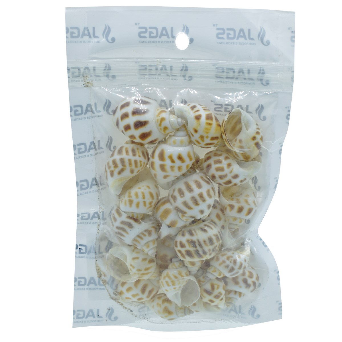 Gift To Love | Shells Small Forigen Puta Muttai | Size : 50 Gm | Code : SAS-61