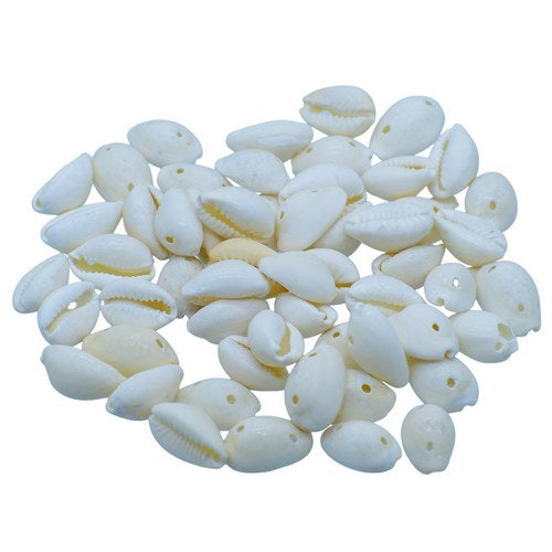 Gift To Love | Shells Ordinary Cowdy 50gm White | Code : SAWC-03