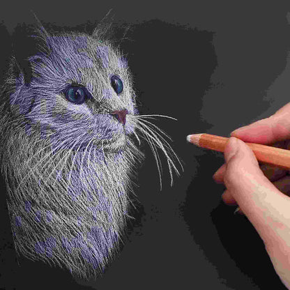 Gift To Love | White Charcoal Pencils | Pcs : 3 Pcs | Code : SBT-3Y