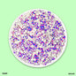 Gift To Love | Shakers Diy Beads | Pcs : 10 Gm | Code : SHL40