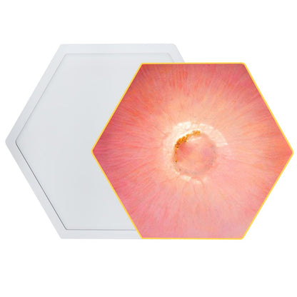 Gift To Love | Silicone Mould Hexagon Curve Coaster | Pcs : 6 Pc | Code : SMH600