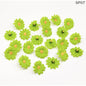 Gift To Love | Sunflower | Pcs : 50 Pcs | Code : SP07