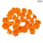 Gift To Love | Sunflower | Pcs : 50 Pcs | Code : SP20