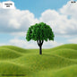 Gift To Love | Tree Miniature | Size : 6 Cm | Pcs : 3 Pcs | Code : TRE37D