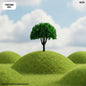 Gift To Love | Tree Miniature | Size : 6 Cm | Pcs : 3 Pcs | Code : TRE38D