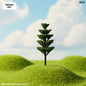 Gift To Love | Tree Miniature | Size : 8 Cm | Pcs : 3 Pcs | Code : TRE46C