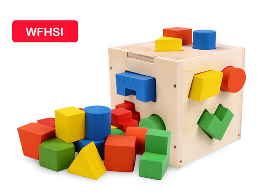 Gift To Love | Fifteen Hole Shape Intelligence Box | Code : WFHSI