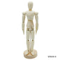 Gift To Love | Wooden Manikin Male | Size : 20 Cm | Code : WMAN-8