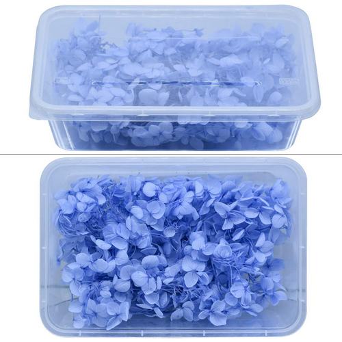 Gift To Love | Dried Flower Box 10Gsm Blue | Code : YW10GM-BL