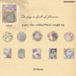 Gift To Love | The Tale Of Lace Deco Paper Cutout | Pcs : 20 Pc | Code : YXSC00301C
